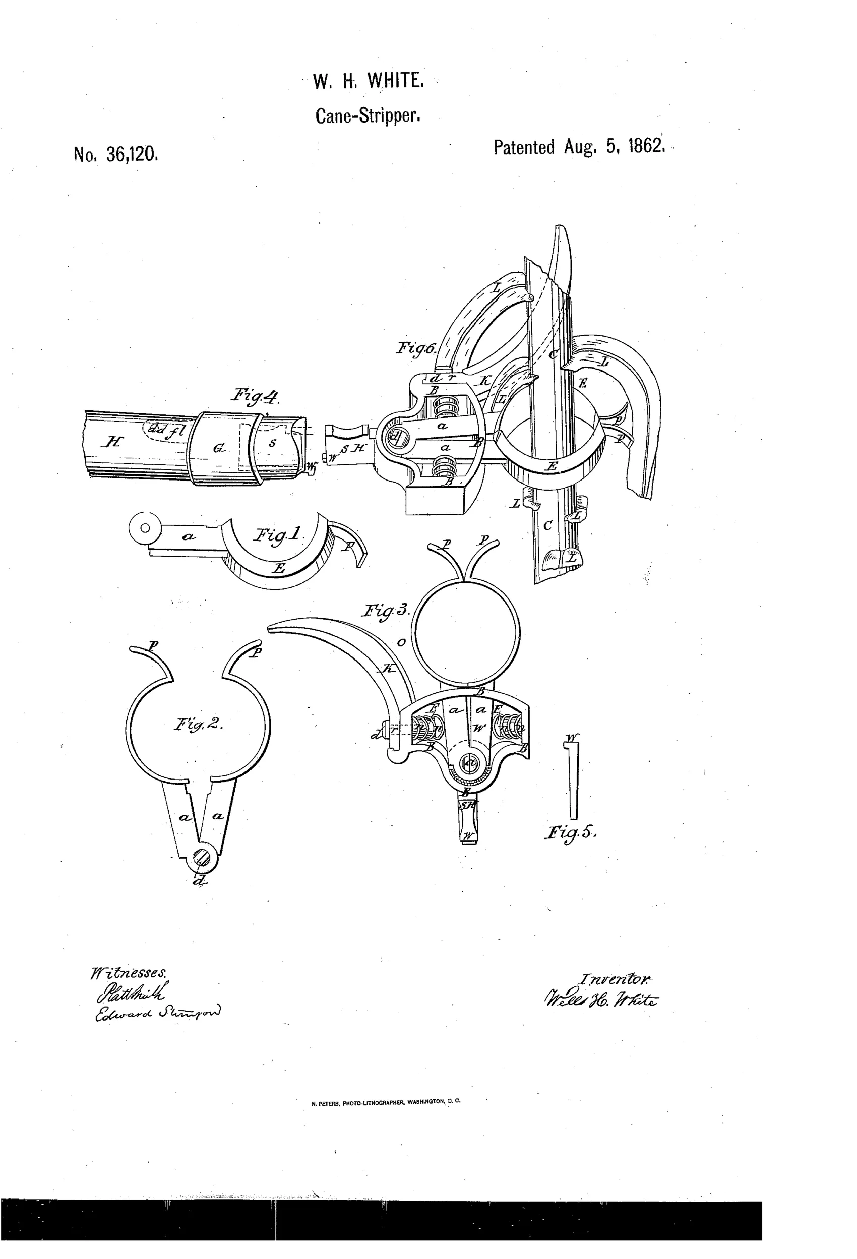 Patent drawing showing six figures of a hand-operated sugar-cane cutting tool with two spring-loaded semicircular knives, a curved side knife, a socket-ferrule for a long handle, and a small key, with one figure depicting the assembled device clamped around a leafy cane stalk.