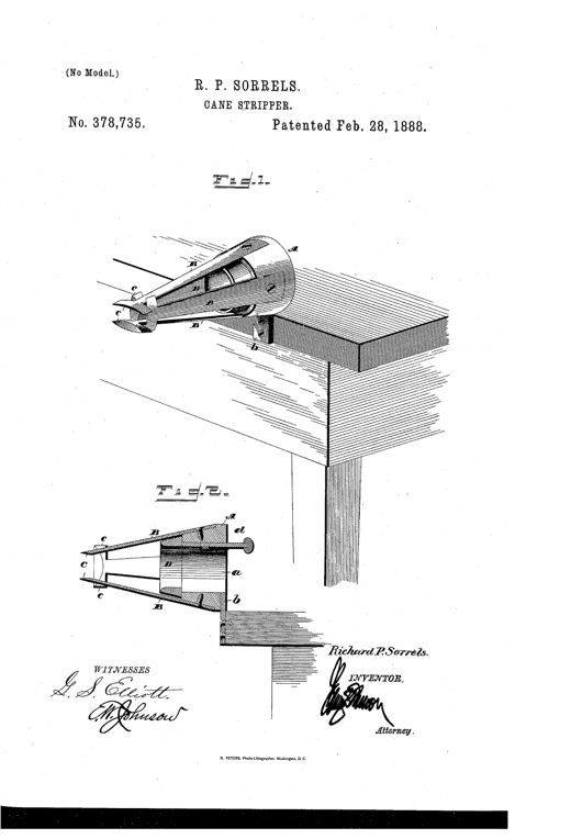 A patent drawing showing a cone-shaped cane-stripping device with converging spring blades mounted on the edge of a wooden table, alongside a cutaway sectional view revealing the internal follower and blade arrangement.