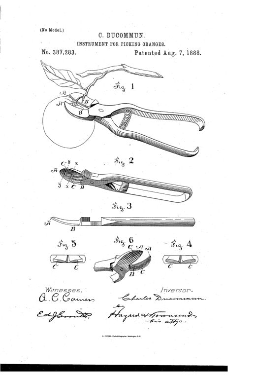 Patent drawing of scissor-like orange-picking clippers with curved, sloped blades shown clipping the stem of an orange within its cup-shaped depression, with cross-section details of the blade curvature below.